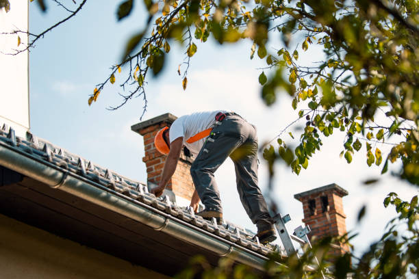 Roof Installation Near Me in Coral Terrace, FL