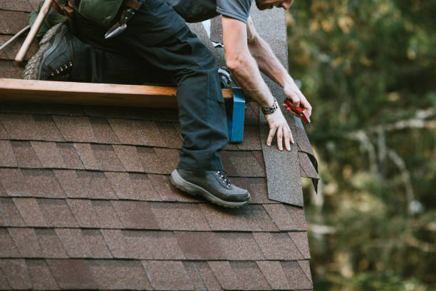 Best Roof Gutter Cleaning  in Coral Terrace, FL